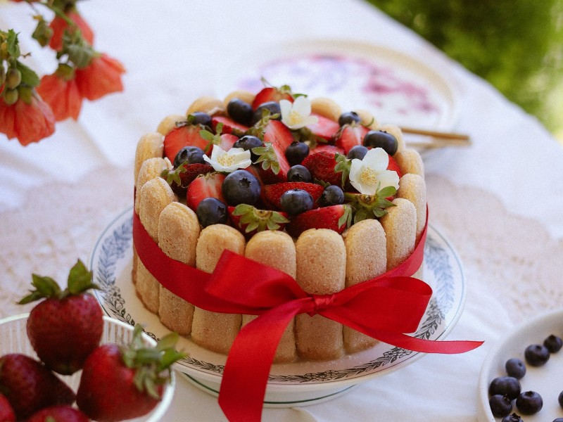 La charlotte aux fruits