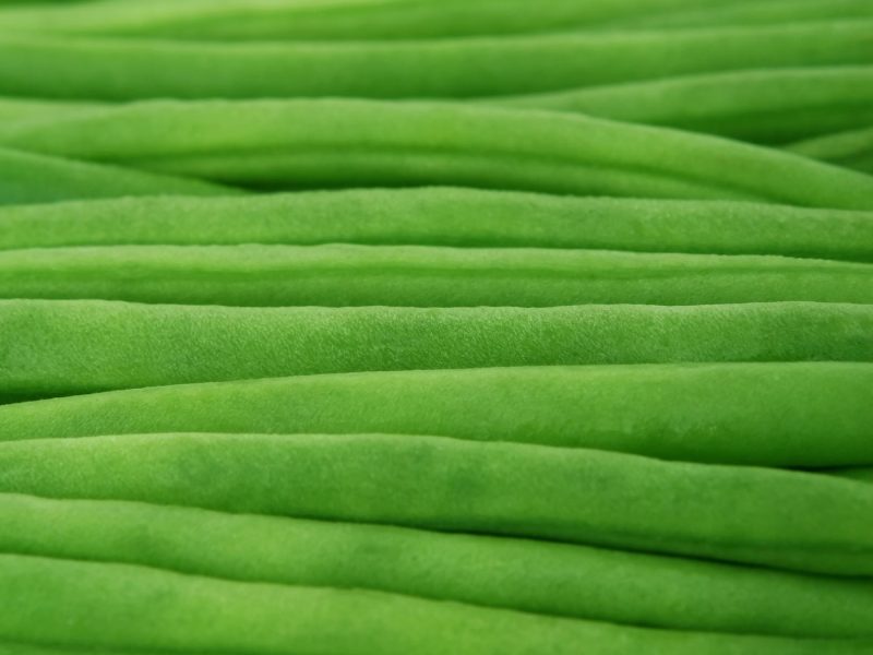 Les haricots verts