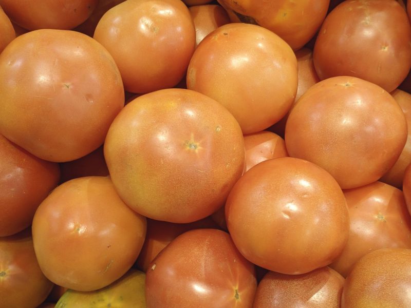 La tomate